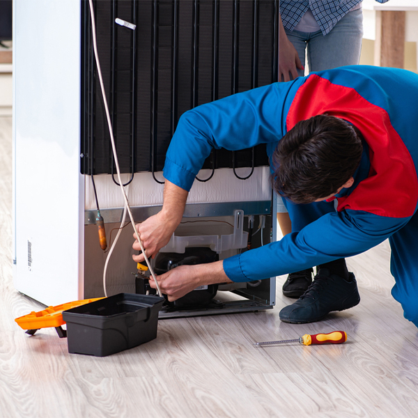 what are the common refrigerator repair services in Richmond Hill